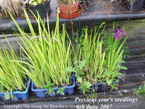 17 Previous years sdgs 6.6.2007